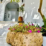 Anita & Milos Adamantas (Milos)